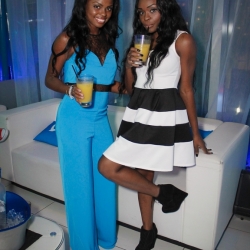 VUE FRIDAYS at One80 Grey Goose Lounge 2014-07-04